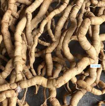 万里无云天色朗 (猜一中药名)，揭秘谜底的小技巧