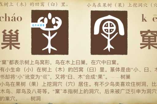 巢的拼音正确写法是啥？这里给你讲明白！