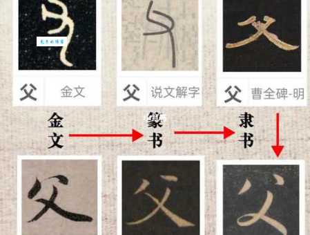 父的部首有啥奥秘?解析汉字部首的意义 父的部首有啥奥秘?解析汉字部首的意义