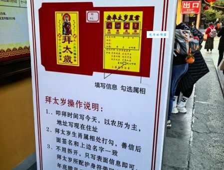 绿林好汉抓盗贼指什么生肖？答案大揭秘！