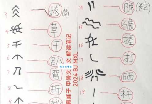 真的部首是什么?搞懂这个有啥用!