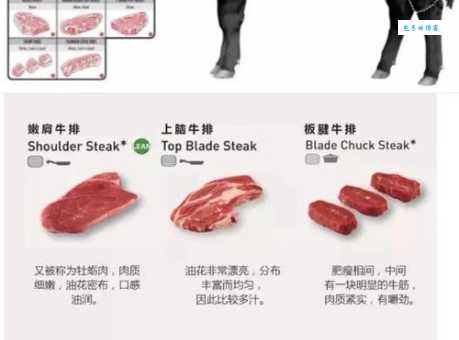 想知道吹牛吹的是牛的哪个部位？这里有答案