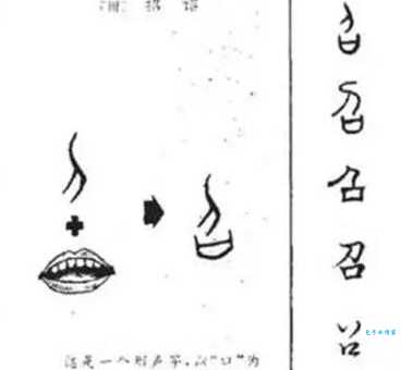 召怎么读容易混淆？专家教你快速区分！