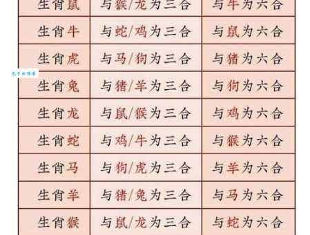 七八之数二相配准确生肖咋判断？这些要点要记牢！