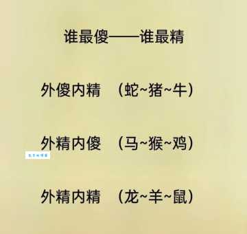 声东击西打一个生肖，专家来分析可能是啥生肖！