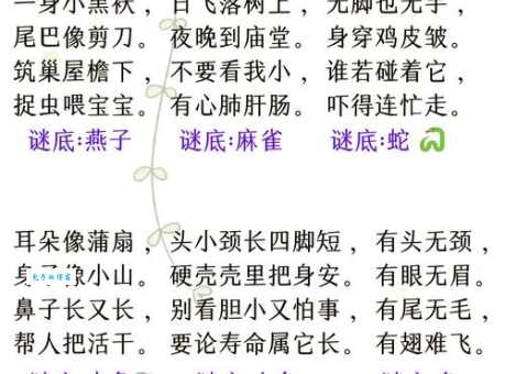 身披花棉袄唱歌呱呱叫猜谜语，如何提高猜谜成功率？