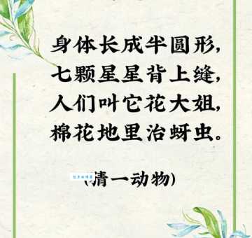 身披花棉袄唱歌呱呱叫猜谜语,如何提高猜谜成功率?