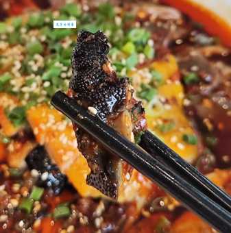 像条带,一盘菜,下了水,跑得快(打一动物)