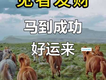 想知道万马奔腾代表啥生肖？看完这篇全明白！