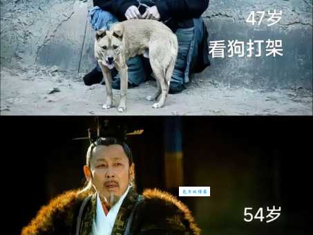 打狗看主究竟是不是成语？权威解读来了！