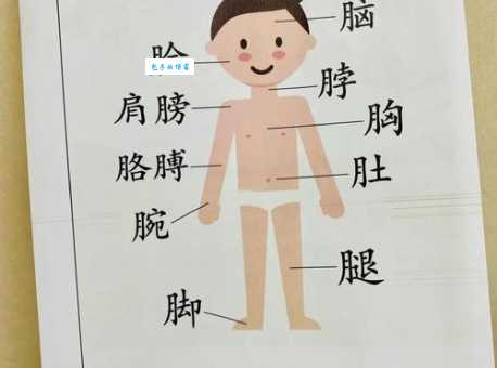 想知道裳的部首吗？这方法让你轻松记部首