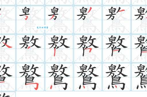 膧字怎么读？快来了解这个生僻字的正确发音！