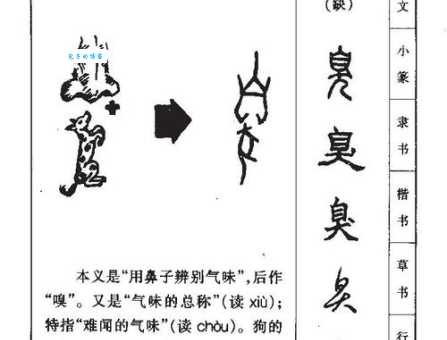 搞不清臭的部首？专家教你快速识别方法