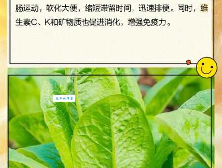 美好的开端打一蔬菜，你能猜出是啥吗？