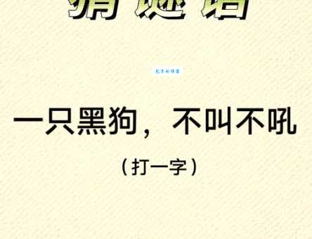 综合门市打一字,分享下你解谜的独特思路!