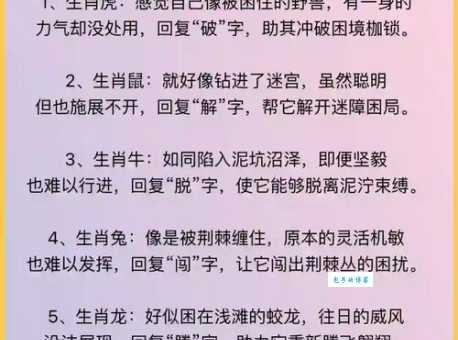 南辕北辙对应啥生肖？这几个答案值得探讨