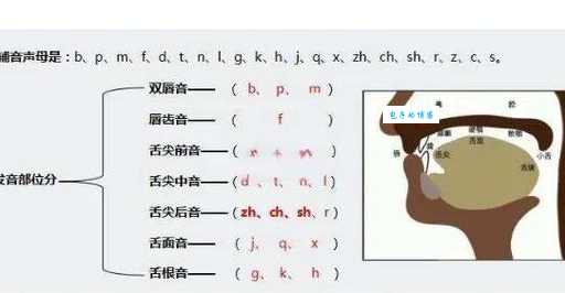 伸的拼音在不同语境咋发音?实例讲解超明白!