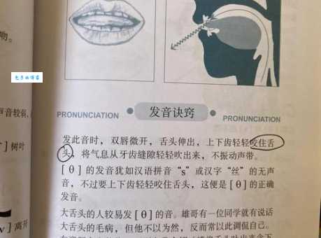 伸的拼音在不同语境咋发音？实例讲解超明白！