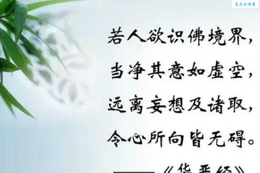 慈悲为怀是啥意思?了解这几点恍然大悟 慈悲为怀是啥意思?了解这几点恍然大悟