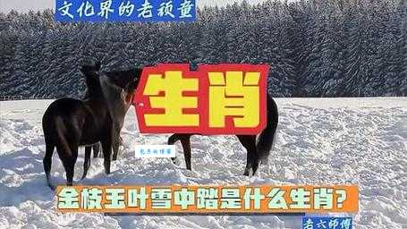 金枝玉叶是哪个生肖?这些线索帮你判断!