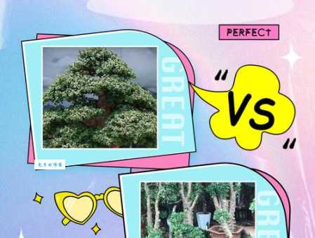 金枝玉叶是哪个生肖？这些线索帮你判断！