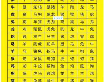 狗打老鼠无功劳指的是哪个生肖？答案揭秘！