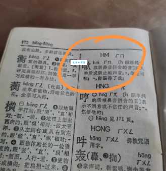 想知道遰字怎么读?这里有详细的读音讲解!