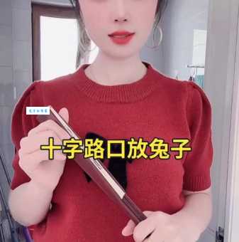 十字路口放兔子打一省区名 推理一下是哪里 十字路口放兔子打一省区名 推理一下是哪里