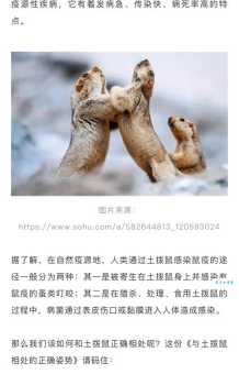 播种打一动物名