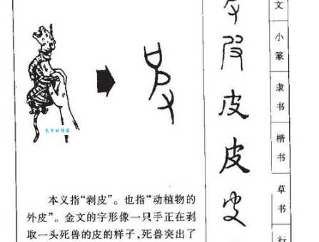 想知道舍的部首吗?这几种判断方法要掌握!