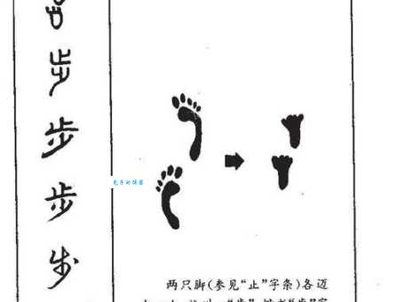 涉怎么读才正确？涉部首及涉意思大揭秘