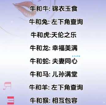 想知道九牛一毛代表啥生肖？这些线索来揭秘！