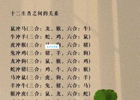 想知道三心二意指什么生肖？看完这篇就懂！