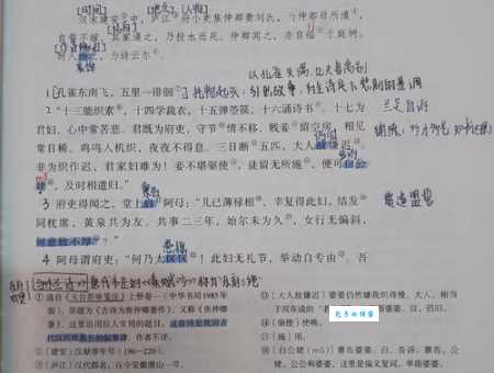 孔雀东南飞打一字是啥?解谜思路大揭秘!