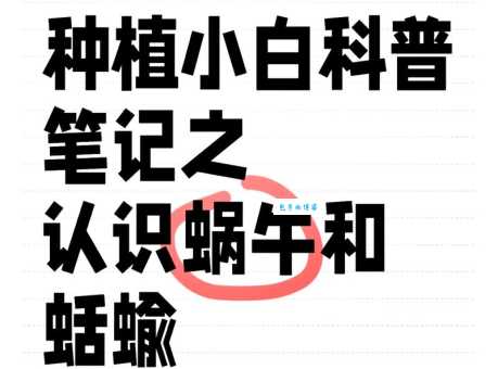 暦怎么读?一篇文章带你快速掌握读音!