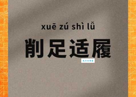 履字开头的成语寓意啥？深度解析给你答案！