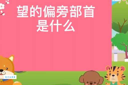 望的部首有啥规律？专家来给你揭秘！