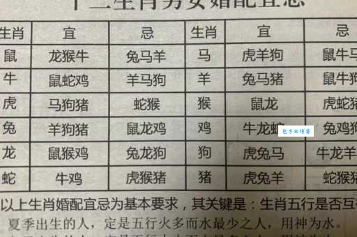 六月飞霜和什么生肖有关？快来一起推理！