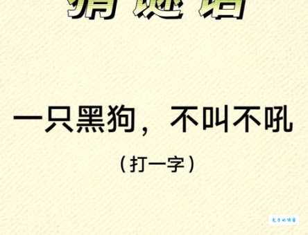 判决无罪打一字，一起探讨正确谜底