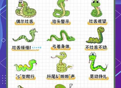 虚与委蛇是什么意思？一文带你彻底搞懂！