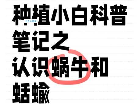 飑的读音搞不清?看完这篇就全明白了!