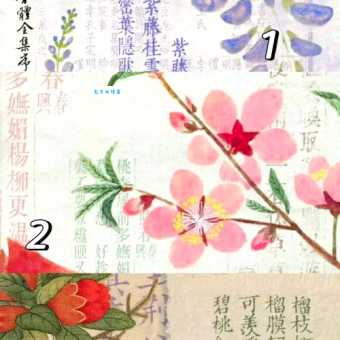 六月飞霜猜正确一肖方法有哪些?快来了解