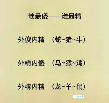 声东击西猜一正确生肖动物，快来一起找答案