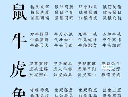 声东击西猜一正确生肖动物，快来一起找答案