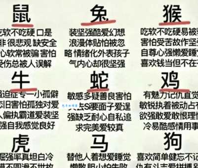 想知道认贼作父是什么生肖吗?这里有分析