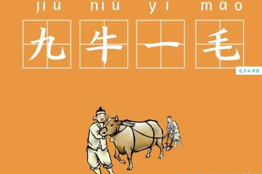 九牛一毛打一最准生肖是啥?看完这分析你就懂