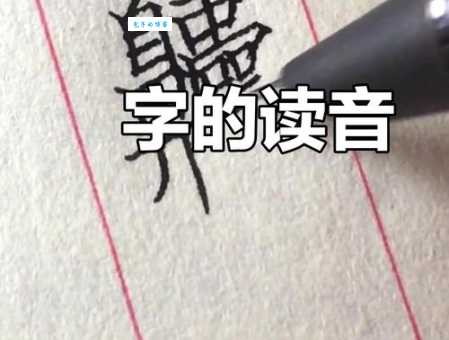 想知道嫜字怎么读?这些方法让你轻松学会