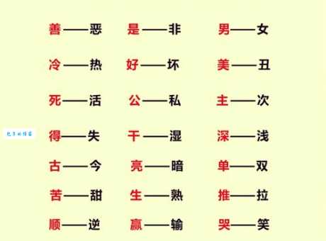 断章取义的反义词是啥?了解这些避免误解!
