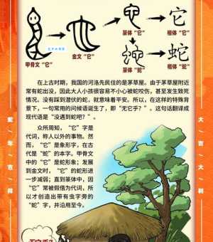 蛇的拼音怎么读?学会这个方法再也不出错!