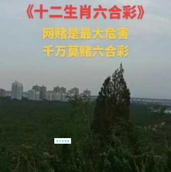 榆枋之见是指最佳准确解什么生肖？揭晓谜底！